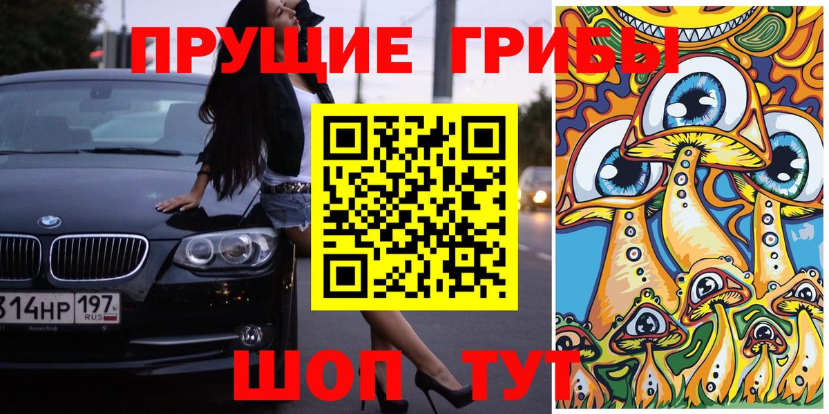 Галлюциногенные грибы Psilocybine cubensis Кимовск
