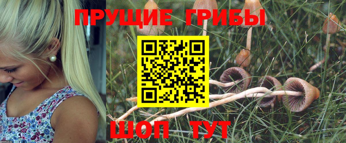 Галлюциногенные грибы мухоморы  Вход с VPN  Кимовск 